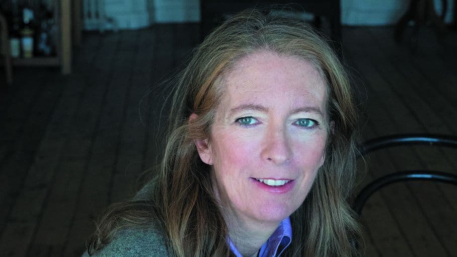 Chimère de Julie Wolkenstein : analyse d'un polar familial