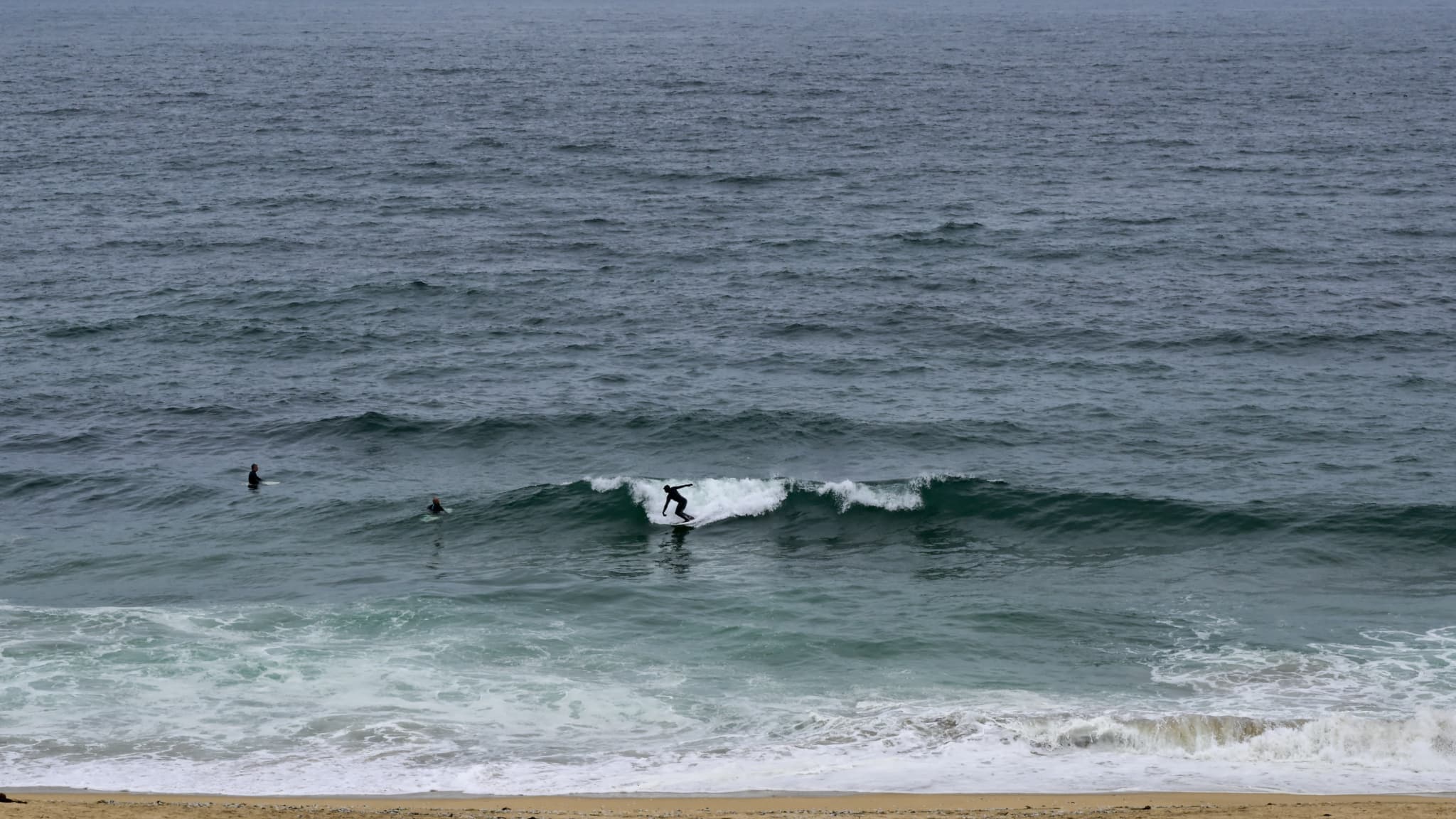 Incident mortel avec un requin en Californie: analyse des mesures de sécurité
