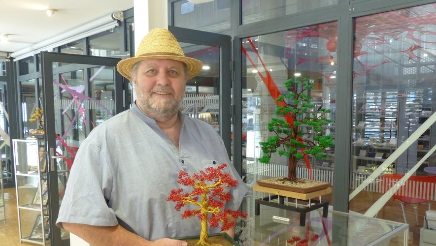 Bonsaïs en fil d'aluminium : Lourdes expose l'art de Pierre Barnabé